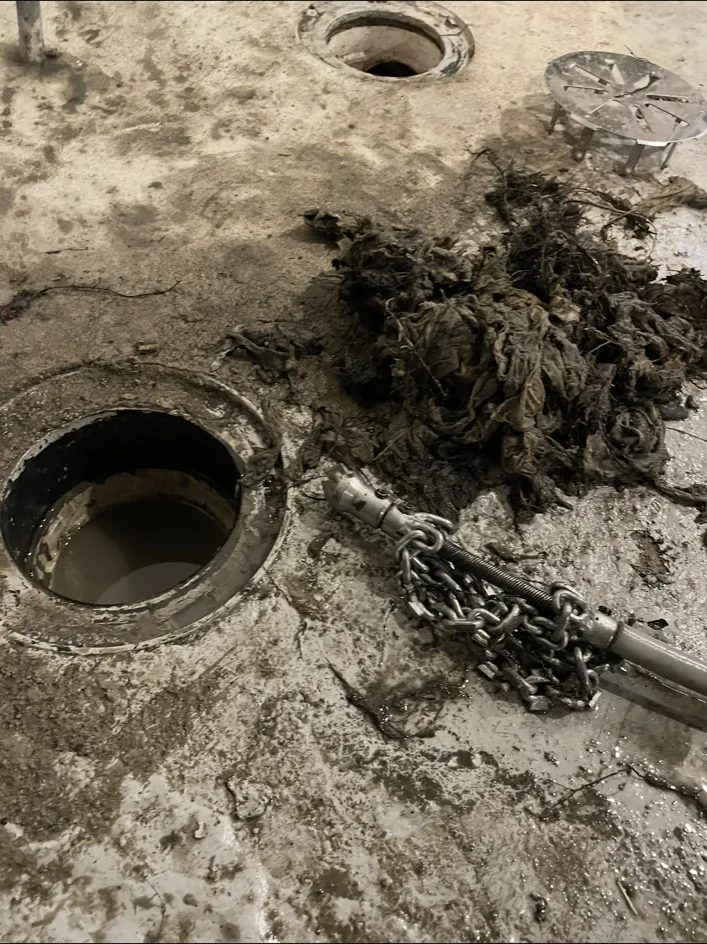 Drain cleaning equipment with removed tree roots